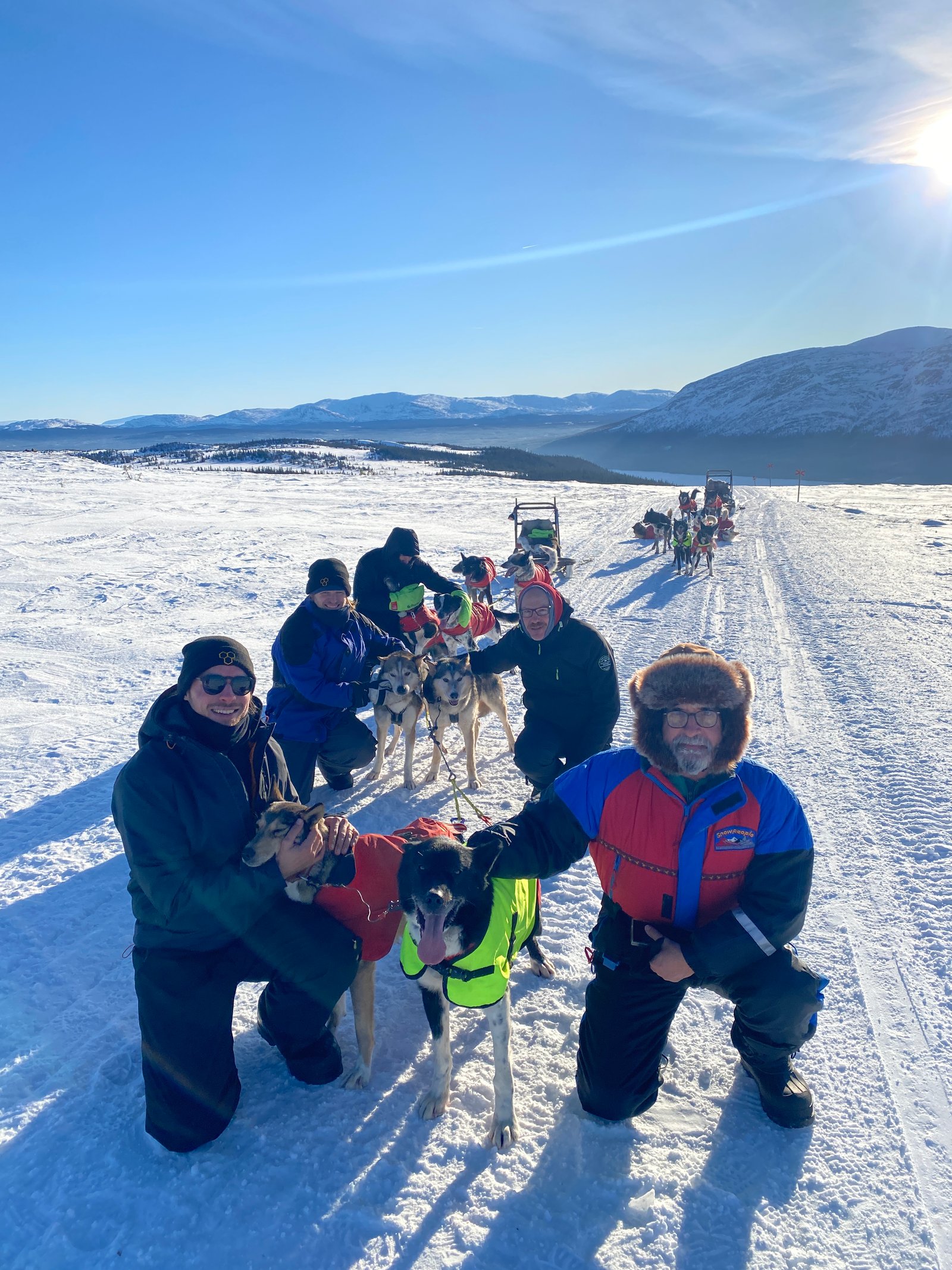 A group dog-sledding experience in the snowy Swedish wilderness